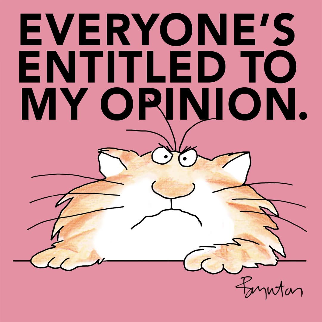 FB_IMG_1747674144402.jpg
